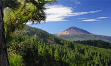 Tenerife