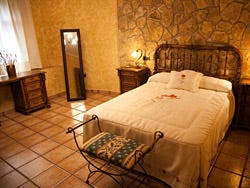 Hotel Viñedos y Bodegas El Castillo