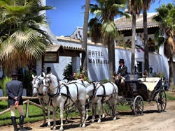 La Malvasía del Rocío