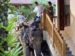 Elephant Safari Park Lodge