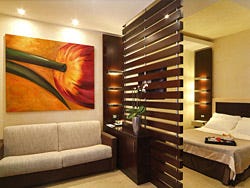 Les Fleurs Luxury House