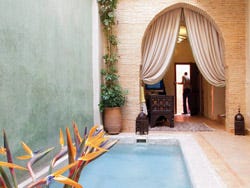 Riad Cocoon