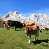 Asturias